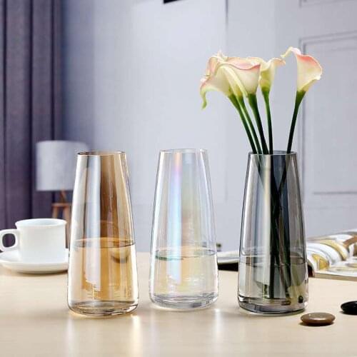 Glass Vase Living Room Dried Flowers Nordic Ins Style Transparent Glass Home Decoration Accessories Flower Vases For Homes