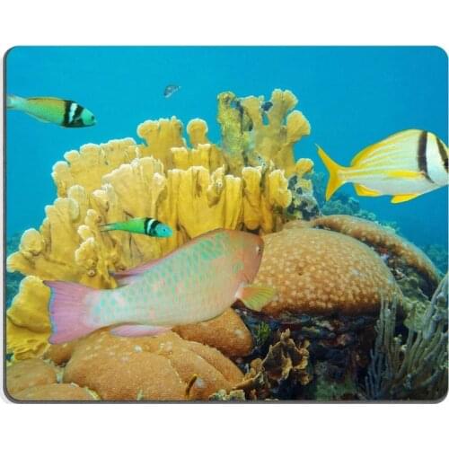 Generic Customized Rubber Mousepad Gaming Mouse Pad corals under the sea with colorful tropical fish Caribbean Mexico