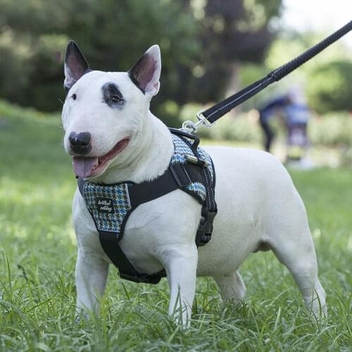 Small Large Medium Dog Harnesses Durable Nylon Pet Dogs Harnesses No Pull Dog Training Walking Vest for Bulldog Golden Retriever