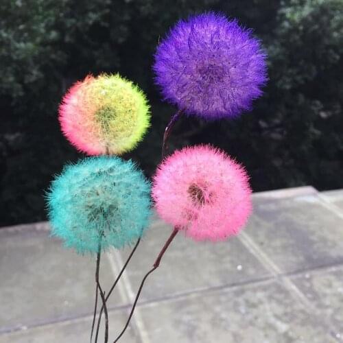 3-4cm/4pcs,Natural Preserved Real Dandelion Craft with Wire Branch,Flower Art DIY Wedding Party Home Decoration Accessories