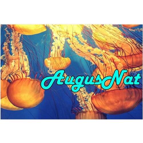 Jellyfish diamond painting sea animals daimond embroidery puzzle pictures 5d diamant mosaic resin beads canvas poster big size