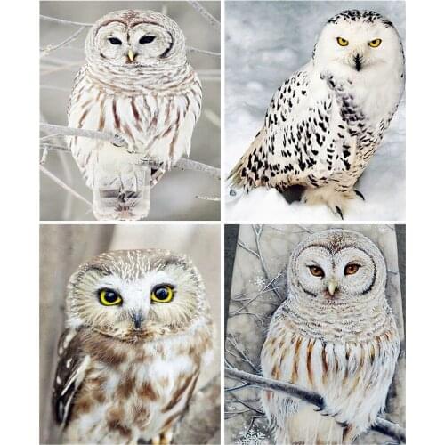 Evershine 5D DIY Diamond Painting Owl Full Square Round Diamond Embroidery Animal Mosaic Rhinestones Pictures Home Decor