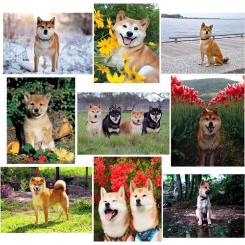 Picture Of Rhinestone Shiba Inu Dog Diy5d Complete Diamond Painting Mosaic Animal Diamond Embroidery Animal House Decoration