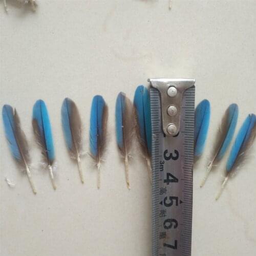 Wholesale 10 natural kingfisher feathers 3-4 cm DIY jewelry headdress accessories feather