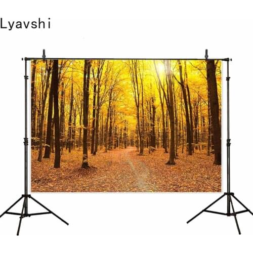 Lyavshi backgrounds for photography studio Withered yellow trees Fallen leaves in the forest backdrop autumn season