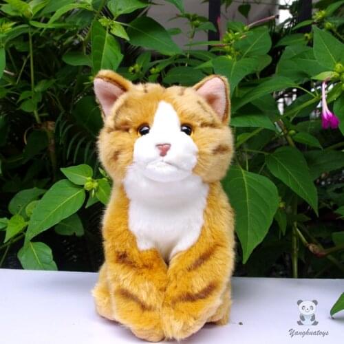 Tabby Doll Stuffed Animals Toys Gifts Child Toy Lovely Cats Plush Dolls Shops
