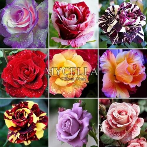 5D DIY Diamond Painting Full Round Flowers Needlework Diamond Embroidery Cross Stitch Rhinestone Mosaic Rose Home Decor Painting