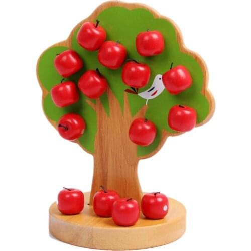 Math Toys FREECOLOR China