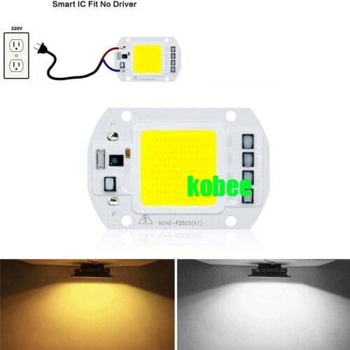 LED COB Lamp Chip 50W 220V 110V Input Smart IC Driver Fit For DIY LED Floodlight Spotlight Cold White Warm White