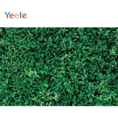 Green Leaves Newborn Baby Shower Birthday Portrait Backdrop Vinyl Photography Background For Photo Shoot Photophone Photocall