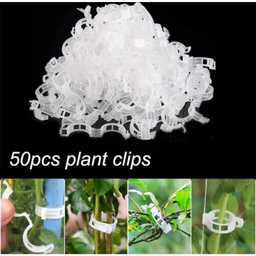 50/100pcs Plastic Plant Clips Gardening Supplies for Vegetable Tomato Supports Connects Reusable Protection Grafting Fixing Tool