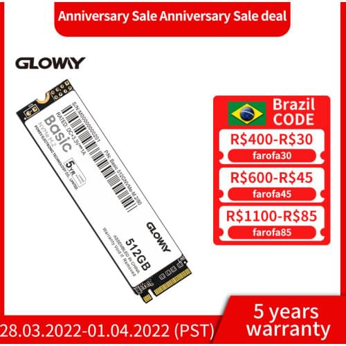 Gloway Basic Version M.2 SSD 256gb PCIe NVME 512GB 1T Solid State Drive 2280 Internal Hard Disk HDD for Laptop Desktop