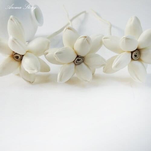 10pcs/lot Nautral Dried Water Lilies Sola Flowers used for Wedding/Bouquet/Aromatic Diffuser/Home Decoration Free Shipping