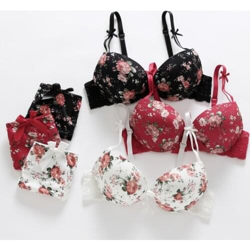 Sexy Push Up Thin Padded Bow Bra Set Women Embroidery Lingerie Set Floral Bras Panty Suit