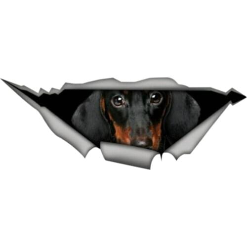 Dachshund Torn Metal Car Sticker Waterproof Creative Decal Laptop Windows Motorcycle Auto Accessories PVC,13cm*4cm