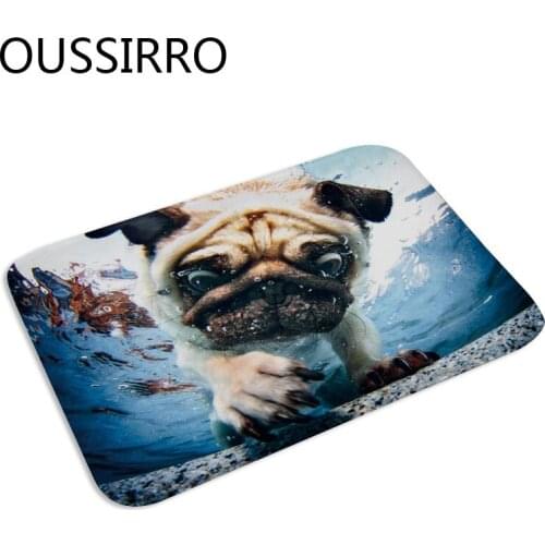 1Pc Soft Coral Velvet Doormat Floor Mat Anti-slip 3D Dog Fifelike Carpet Kitchen Mat Doormat Kitchen Carpet Toilet Tapete Rug