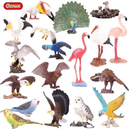 Oenux Original Bird Paradise Flamingos Macaw Sea Gull Snowy Owl Parrot Figurines High Quality PVC Animals Action Figure Kid Toy