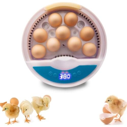 Mini 9 Egg Incubator Farm Hatching Digital Temperature Humidity Automatic Control Brooder Poultry Quail Chicken Duck Bird LED