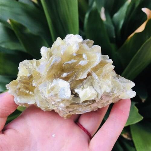 Specimen of natural primary ore golden mica