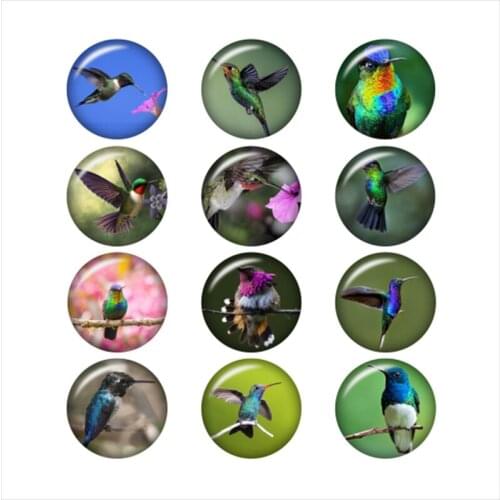 50PCS Mixed Glass Snap Button Jewelry Hummingbird For DIY 18MM Button Snap Bracelet Necklace Jewelry