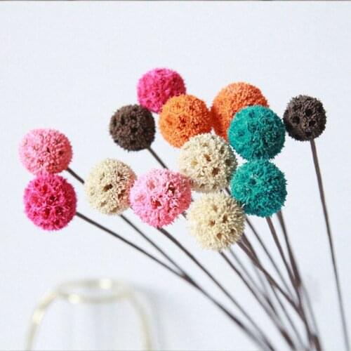 Dried Flowers Maple Fruit Handicraft Accessories Home Decor Wedding Decoration Props for Photo Artificial Flowers Wholesale