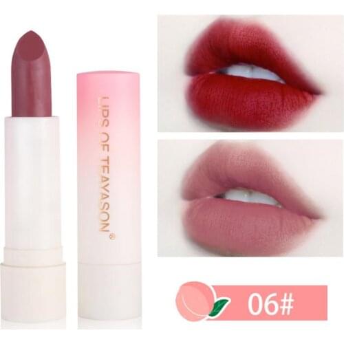 Matte Female Retro Red Peach Lipstick Matte Non-drying Velvet Lipstick High Color Rendering Mini Lip Makeup Maquiagem TSLM2