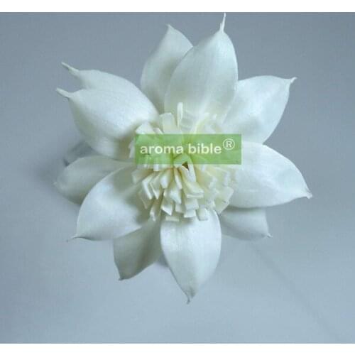 1000 pcs /lot Handmade sola wood flowers for fragrance diffuser and home decor with 12cm Rope or rattan reed sticks Top quality