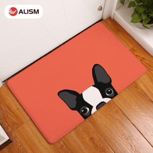 Cartoon Mat Lovely Pug Dogs Door Mat Printed Floor Mat Entrance Carpet Floormat Kitchen Rug Indoor Bathroom Anti-slip Door Mats
