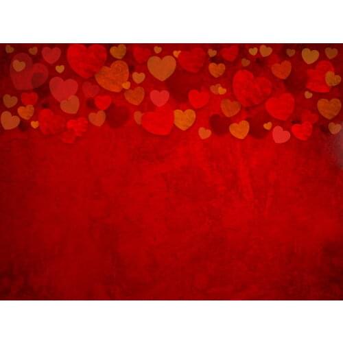VinylBDS Custom Valentines day Backdrops Photography Backgrounds Photo Studio Washable Backdrops For Photography Fotografia Hot