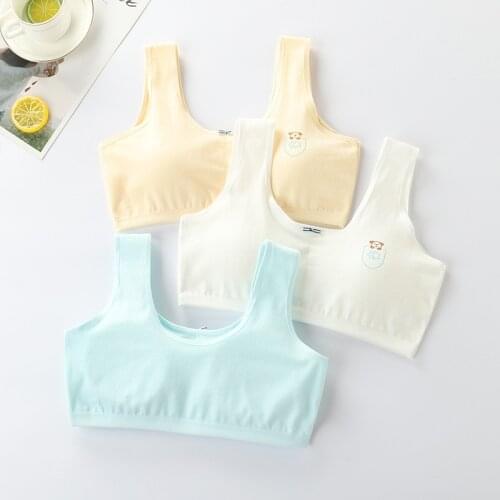 New Girls Underwear Student Development Period 8-9-12-16 Years Old Small Vest Cotton Girl Anti-bump Bra