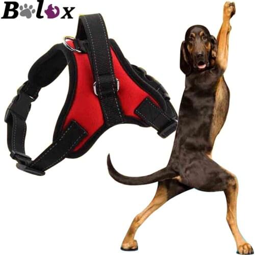 Large and medium dog leash chest strap dog chain pet supplies pet dog chest strap spot wholesale