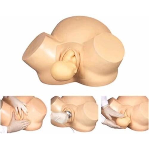 Midwifery Training Simulator,Advanced Vacuum Delivery Simulator,accouchement model