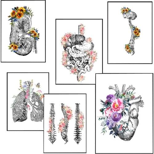 Anatomical Organ Vintage Poster Human Anatomy Canvas Print Spine Heart Lung Anatomy Poster Wall Art Picture Medical Room Decor