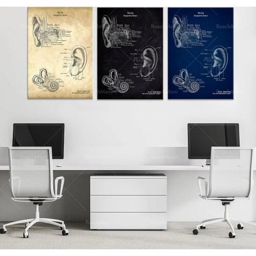 The Ear Patent Style Anatomy Poster