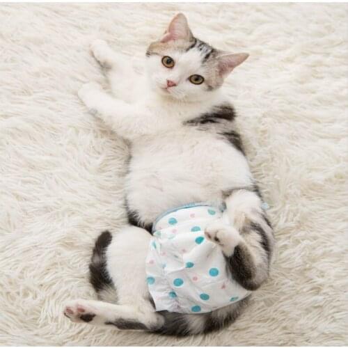 10pcs/Pack)Comfortable Cat Menstrual Care Pads Rapid Absorption Pet Sanitary Napkin Soft Diapers Physiological Pants For Kitten
