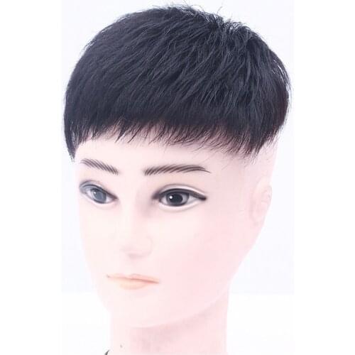 Clip In Human Hair Bangs Toupee Men Hairpiece Wigs for Man Natural Short Brazilian Straight Remy Hair For Hair Loss for Men
