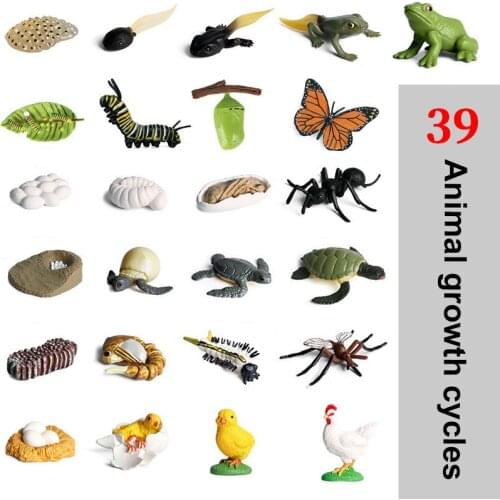 RTBXF Insect Figures