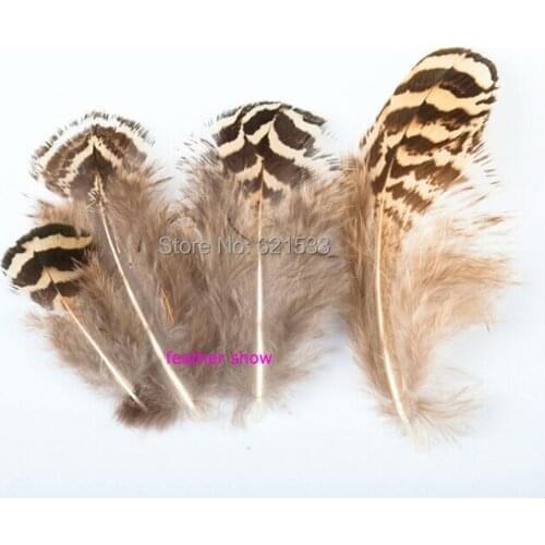 Peacock Feathers,50pieces/lot - 2-4inches Natural Mottled Peacock Small Body Feathers for crafting,freeshipping