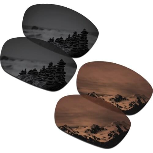 SmartVLT 2 Pairs Polarized Sunglasses Replacement Lenses for Oakley Ten X Stealth Black and Amber Brown