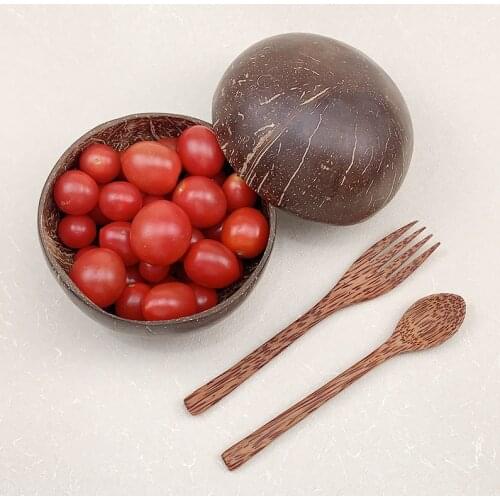 100% natural coconut shell Creative decoration coconut bowl set ramen noodle bowl mixing salad fruit Smoothie rice tableware