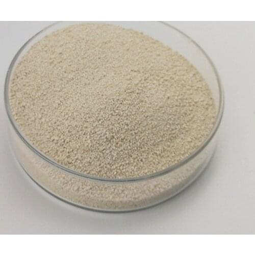 100 gram Poultry Feed Additive L-lysine 99% L Lysine L-Lysine Hcl, Feed grade L-Lysine, lysine