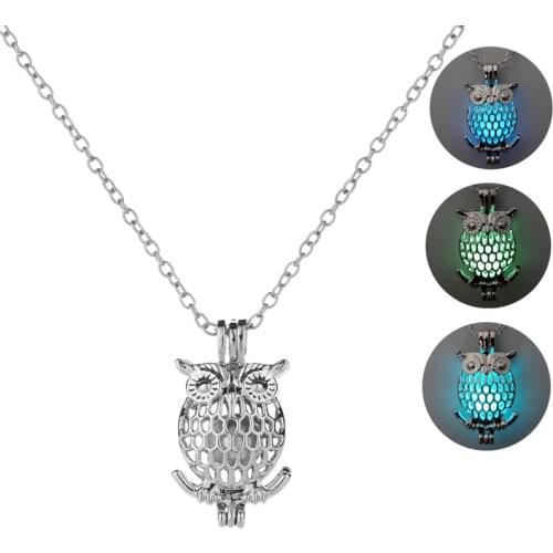 New Item Hollowed Owl DIY Openable Locket Glowing in the Dark Short Necklace Gift Accessory
