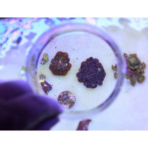 Acrylic water surface observation mirror for sea coral fish tank aquarium. Water surface photo mirror. Fixed water surface photo