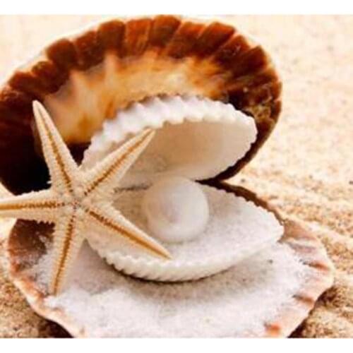 5D DIY Diamond Painting Square/Round Diamond Landscape Painting Seashells and Starfish Beauty Pictures Cross Stitch Decor WG3060