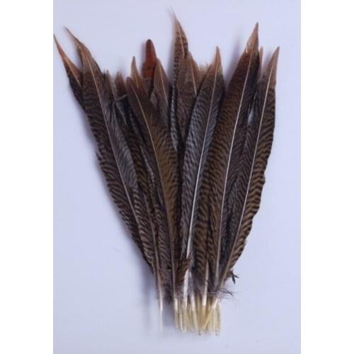 Wholesale! 10pcs/lot Perfect 12-14 inches/30-35 cm Natural Golden Pheasant Tail Feathers for home /carnival/wedding decoration