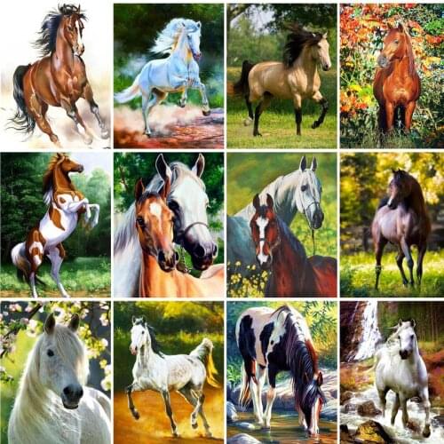 RUOPOTY 60x75cm Frameless Painting By Numbers Horse Animal On Canvas Pictures By Numbers DIY Minimalism Style Home Decoration