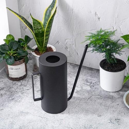 Large Capacity Gold Black Water Cans Metal Household Indoor and Outdoor Retro Lrrigation Kettle Stainless Steel Watering Pot