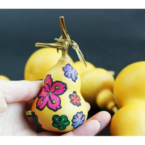 3x Gourd Chinese Natural Calabash Dried Symbolic Decoration 'Longevity' Gift For Chinese New Year Birthday