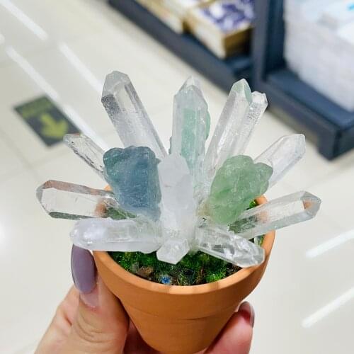 Natural Crystal Cluster Potted Home Decor