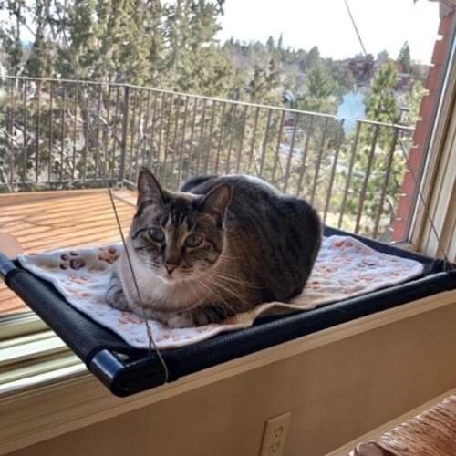 Q1JB Cat Window Hammock Seat Bed Space Saving Cats Suction Cups Saving Space Durable Sunbathe for Indoor Cat Easy to Install